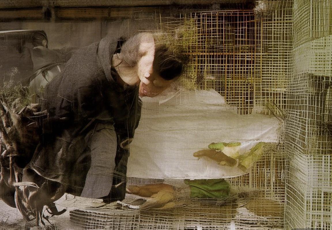 人和锋线发烫力帆中场稳，关键对决前瞻(图2)